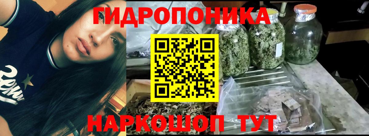 Бошки марихуана AK-47 Чита